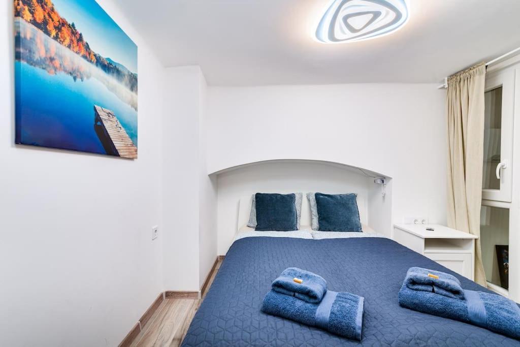 Amazing Kazinczy Flat No. 1 ブダペスト エクステリア 写真
